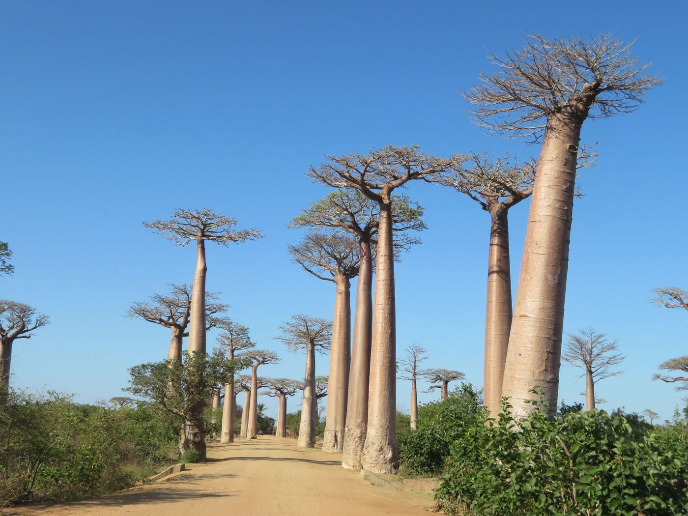 Madagascar Travel Guide: Everything to Plan Your Trip