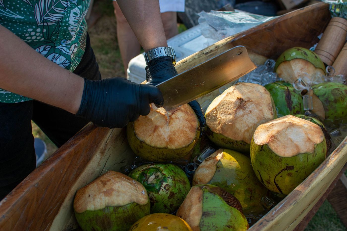 Fresh green coconuts being opened