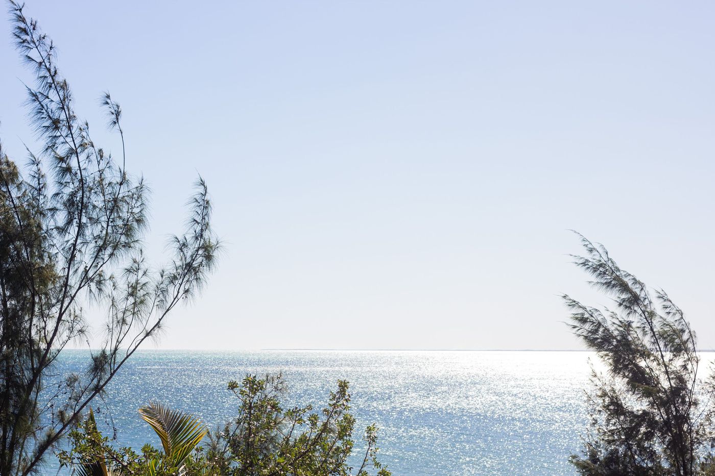 Indian Ocean coastline fringed with casuarina trees, Madagascar