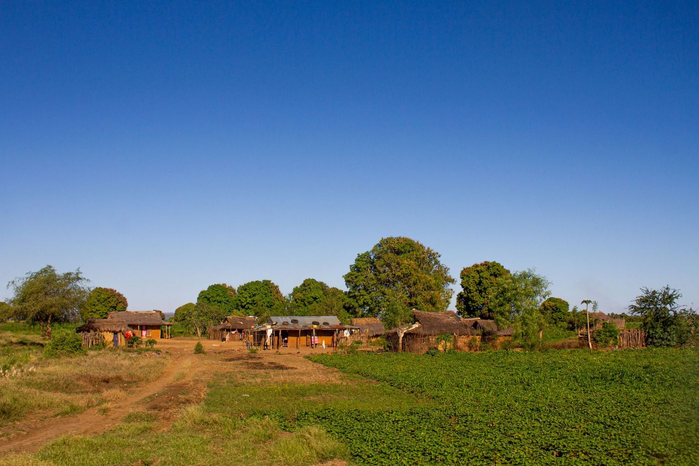 Rural village at Ankililoaka, Madagascar