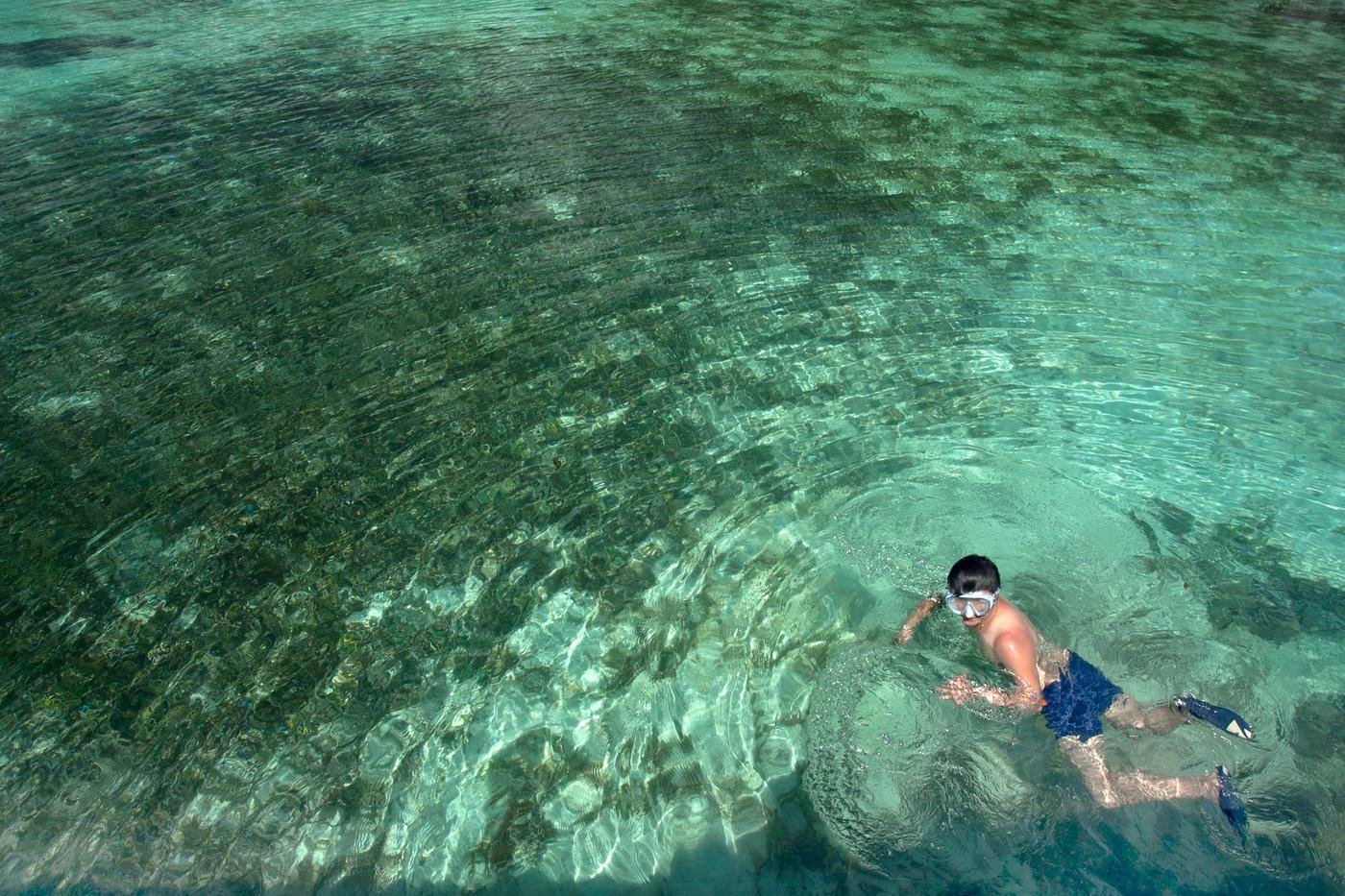 Snorkeler over a shallow reef