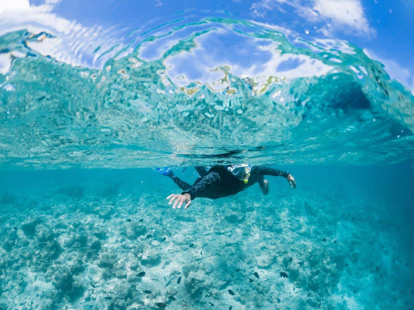 Snorkeling à Madagascar : les spots accessibles à tous
