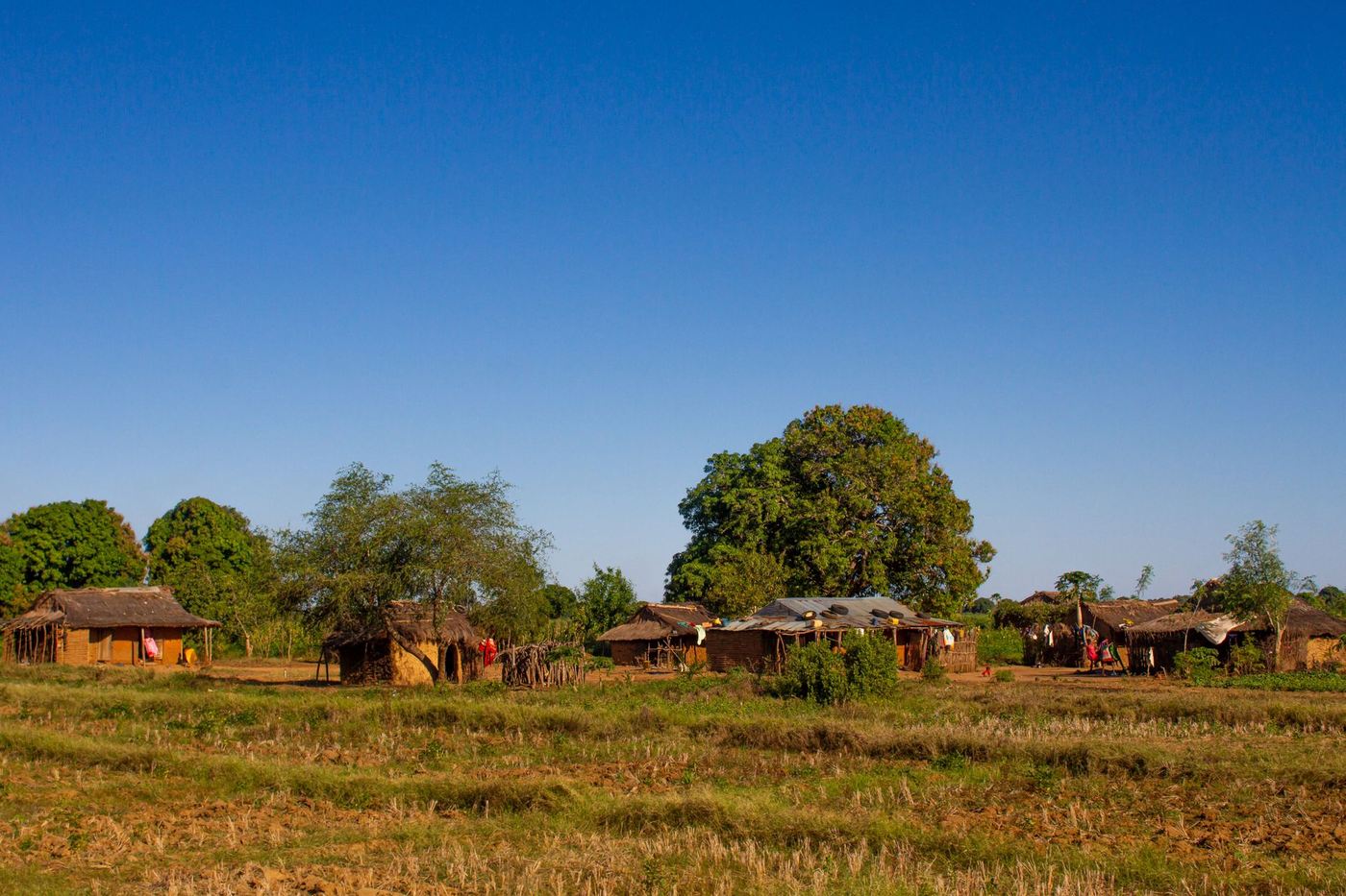 Village rural malgache au milieu des cultures